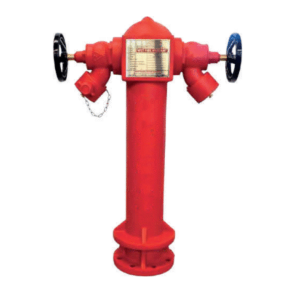 Lifeco 2-Way Wet Pillar Hydrant with Landing Valve - 4" Flange