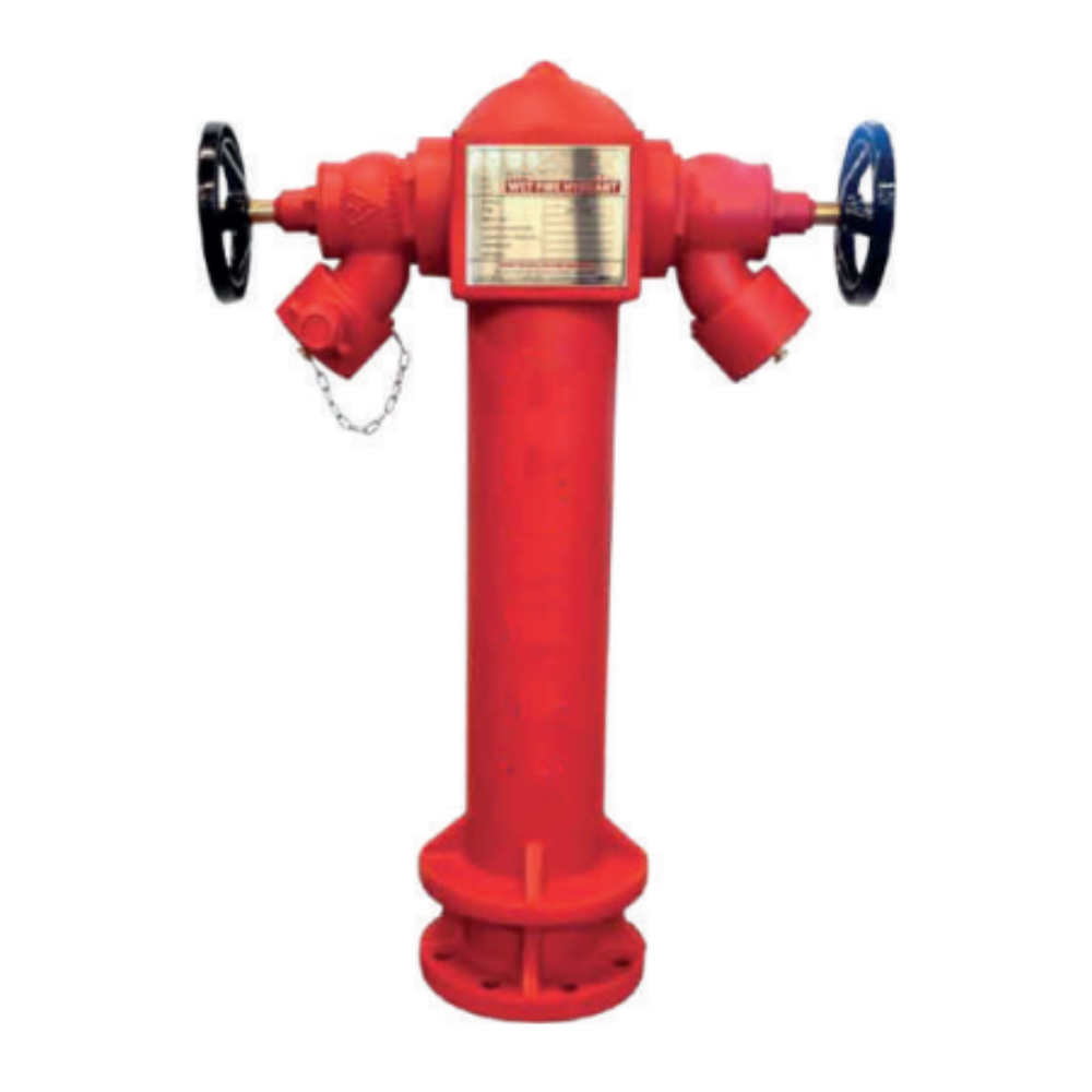 Lifeco 2-Way Wet Pillar Hydrant with Landing Valve - 4" Flange