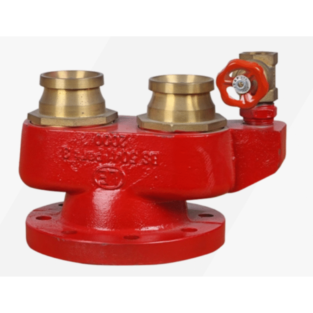 Lifeco 2-Way Breeching Inlet Fire Valve