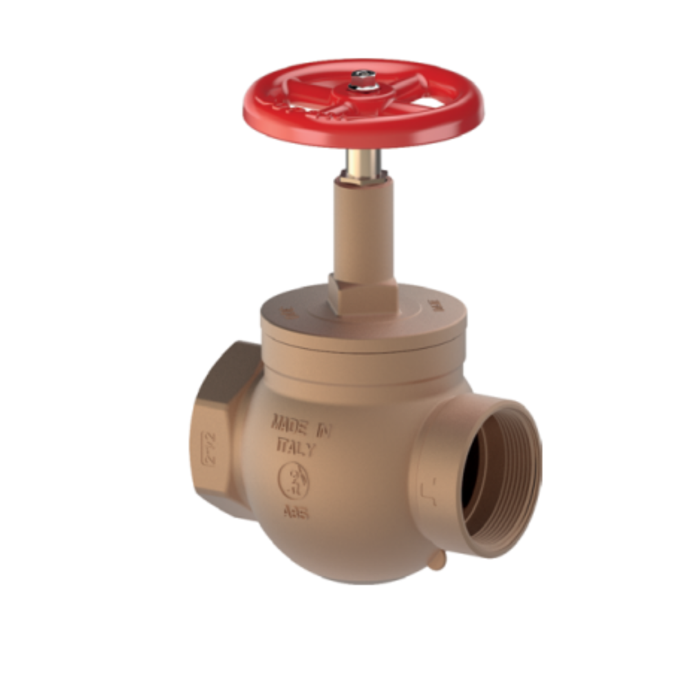 GIACOMINI A85 Straight Globe Hose Valve - Double Female, Bronze