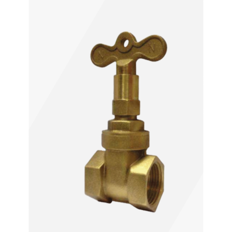 Lifeco Lock Shield Valve