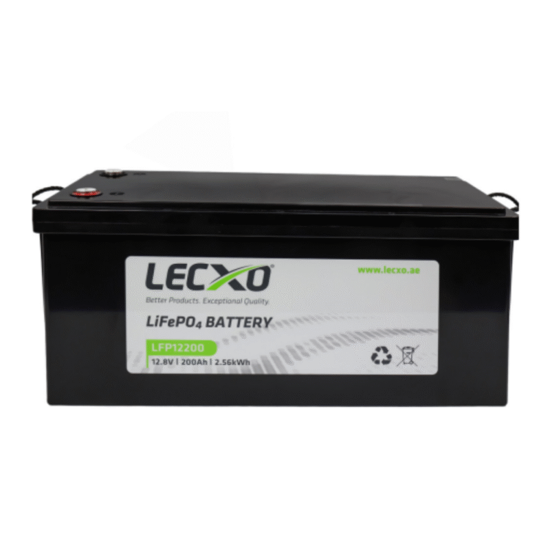 LEP24100